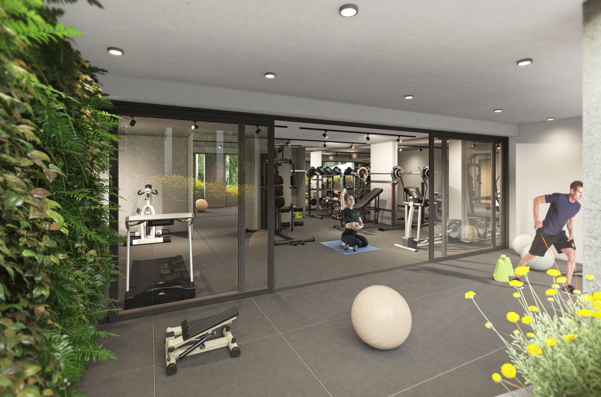 Gimnasio